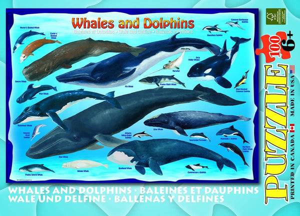 EuroGraphics Whales & Dolphins 100 Piece Jigsaw Puzzle